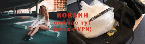 шишки Алексин