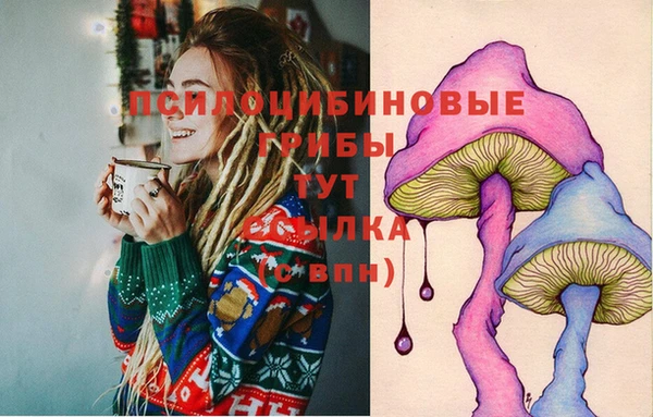 герыч Алзамай