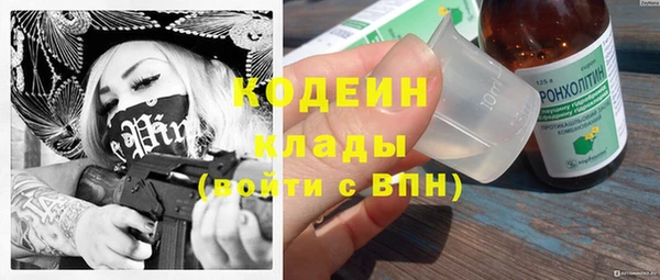 хмурый Абаза