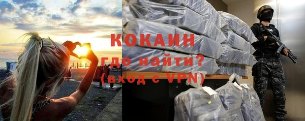 шишки Алексин