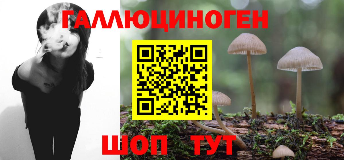 Галлюциногенные грибы Psilocybe  Вход с VPN  Керчь  Галлюциногенные грибы Cubensis 